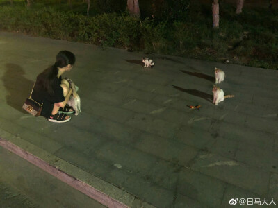 夫人