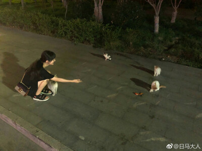 夫人