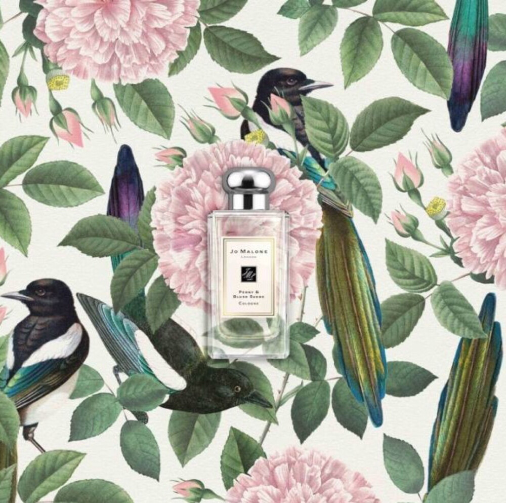 香水 | Jo Malone London 祖马龙专为中国市场推出的七夕情人节限定礼盒，以娇艳绯红的牡丹为主题，以象征美好爱情的喜鹊为概念，设计出成双成对喜鹊限定包装，真是有史以来最能抓住中国风灵魂，同时走心绘制梦幻美的一次限定包装了。
除了用牡丹为主题的方式勾勒外，都还有特制的小卡片，同时为了符合现在的季节，还有限定赠送牡丹菊一大朵，会有专属的礼盒包装，同时也有连接小水管，只要按时固定加水，据说能摆放两周左右，实在是有心。