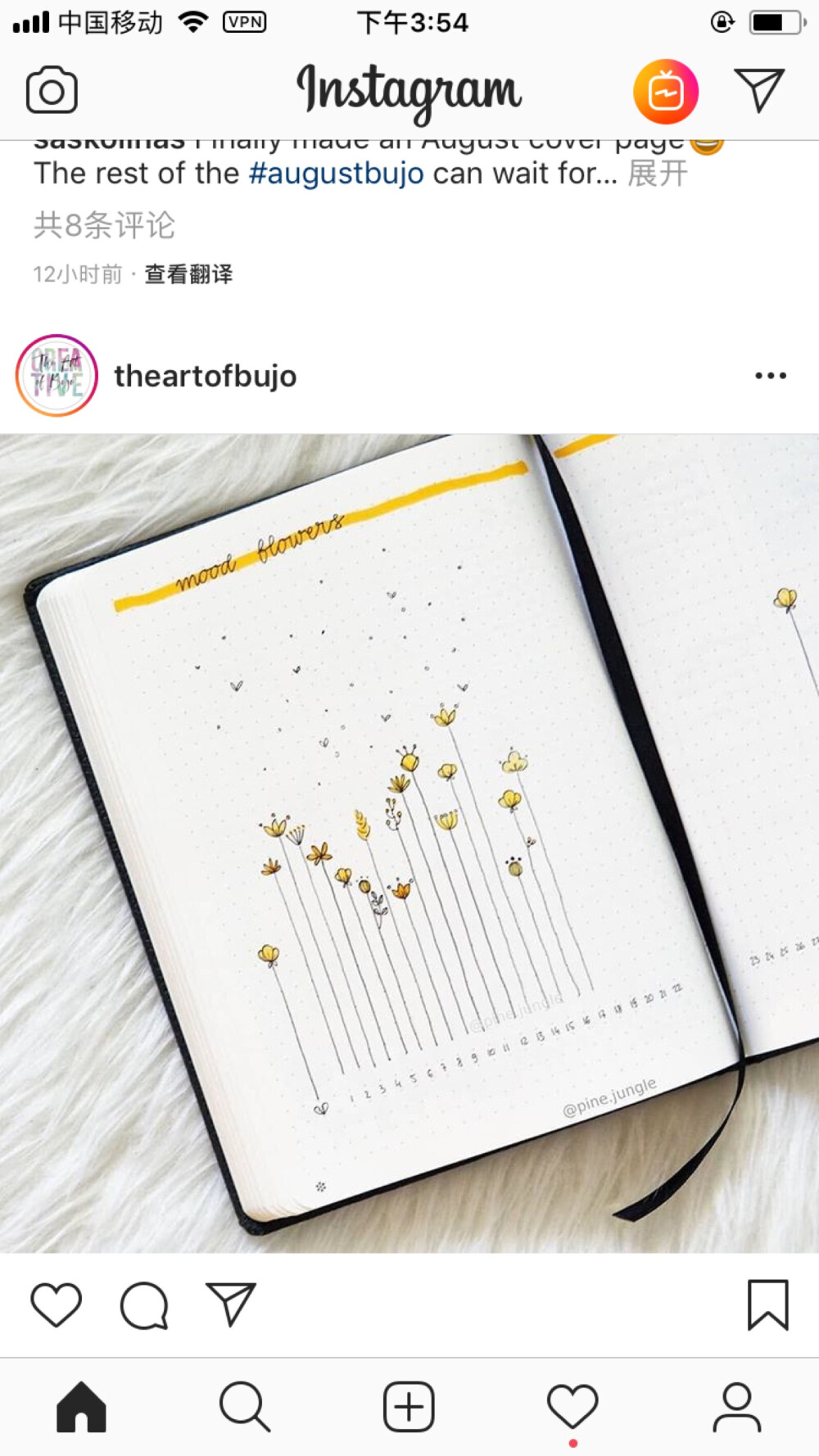 Bujo