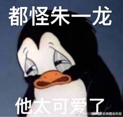 朱一龙