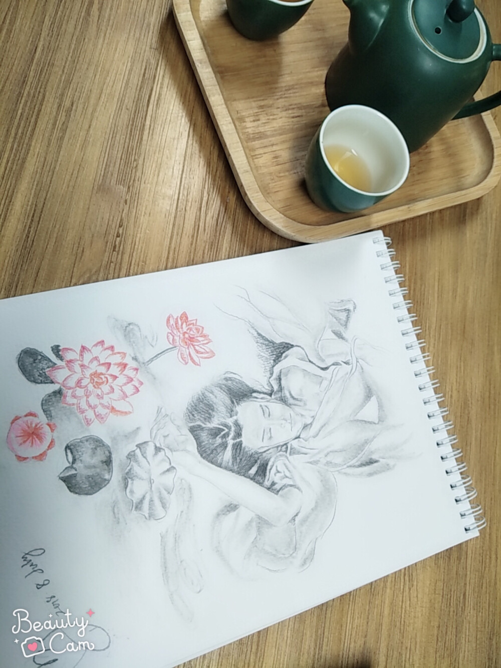 铅笔画