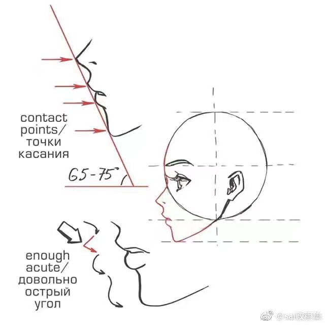 侧脸线稿三庭五眼图片