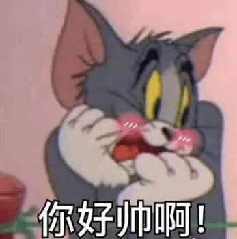 汤姆猫表情包