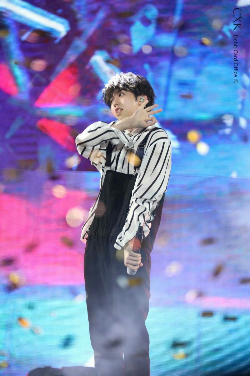 蔡小葵