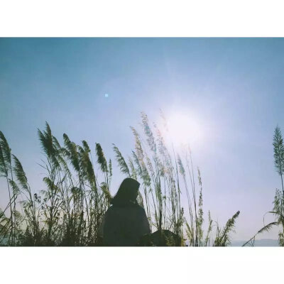 你是耿耿星河，翻山越岭，偶与我暮色同辙。