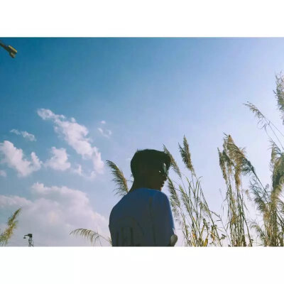 你是耿耿星河，翻山越岭，偶与我暮色同辙。