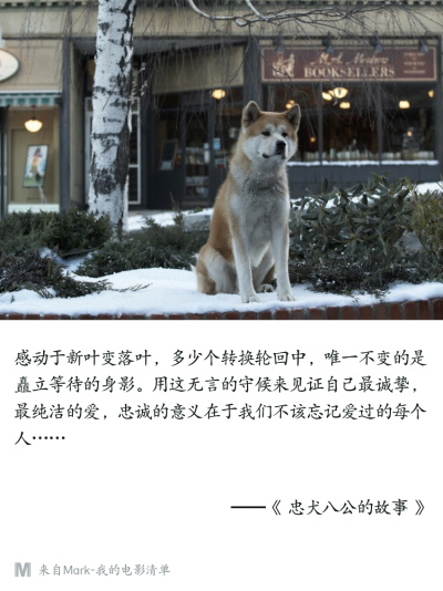 忠犬八公