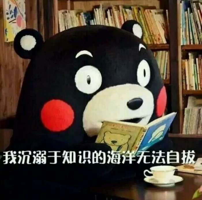 不如学习