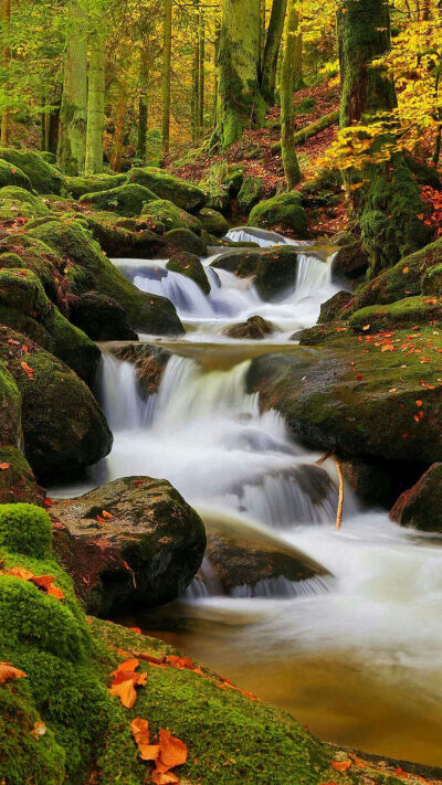 治愈系风景