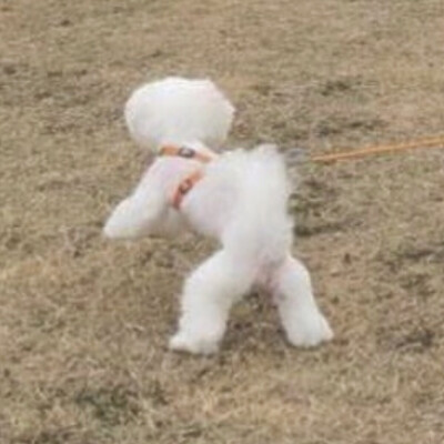 希望泥萌也喜欢~