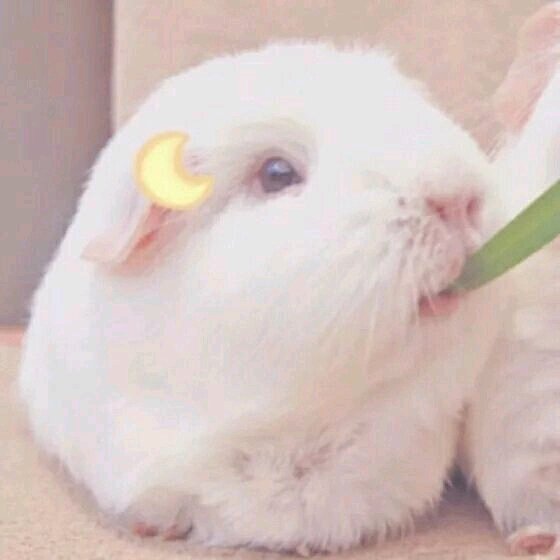 希望泥萌也喜欢~