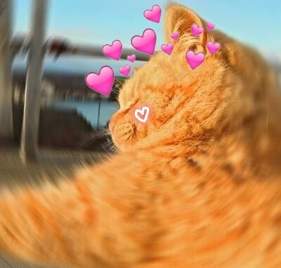 希望泥萌也喜欢~