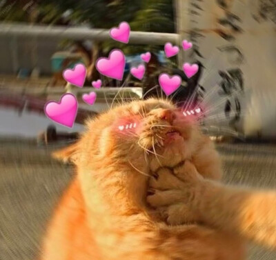 希望泥萌也喜欢~