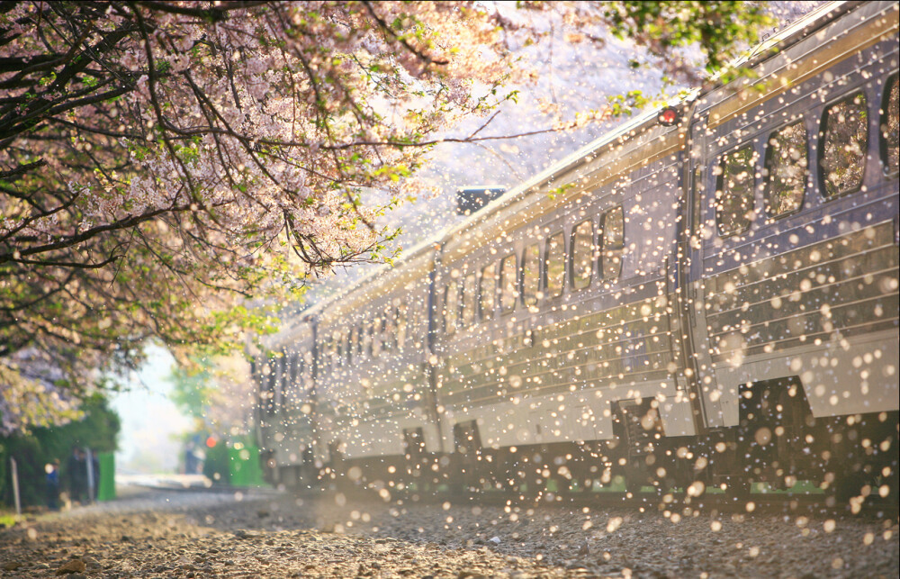 电脑桌面