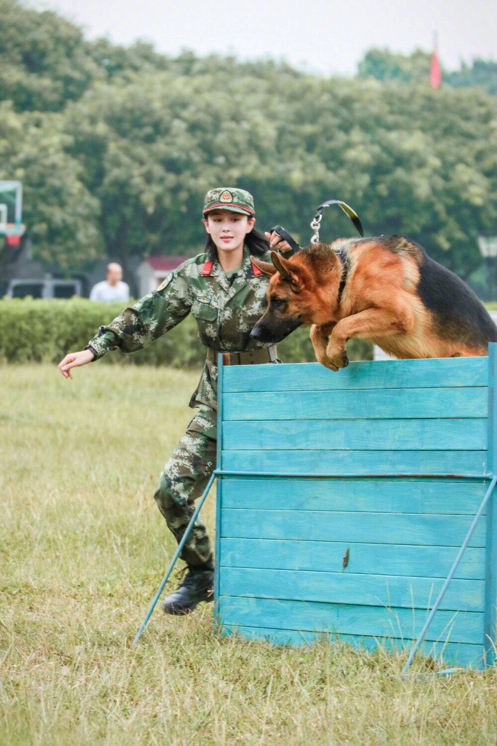 张馨予