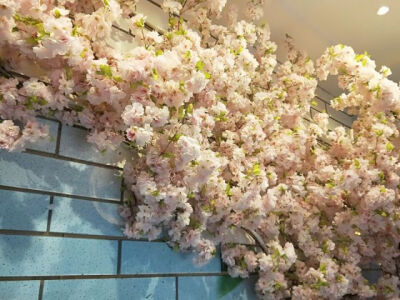 青鴿兒男朋友拍的美图