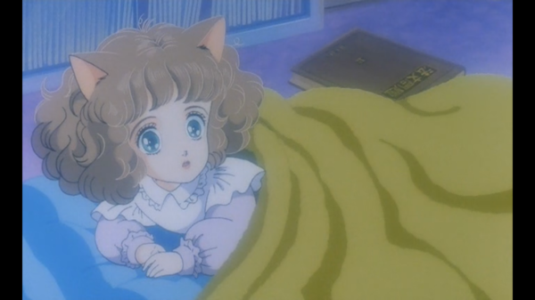 棉花园之星 星琪比