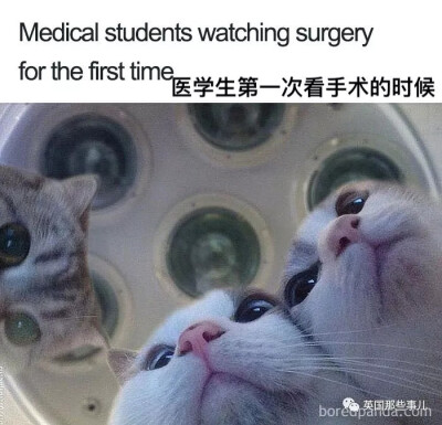 就很医学生：）