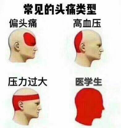 就很医学生啊：）