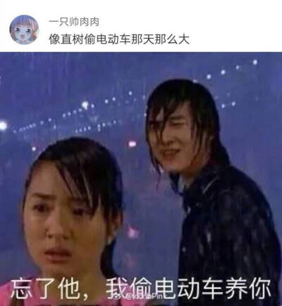 给魏璎珞送伞那天的雨 哈哈哈这届网友可以说很优秀了 ​