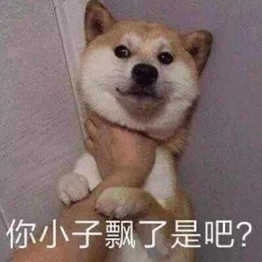 狗子