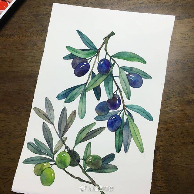 水彩 绿植 植物 树叶