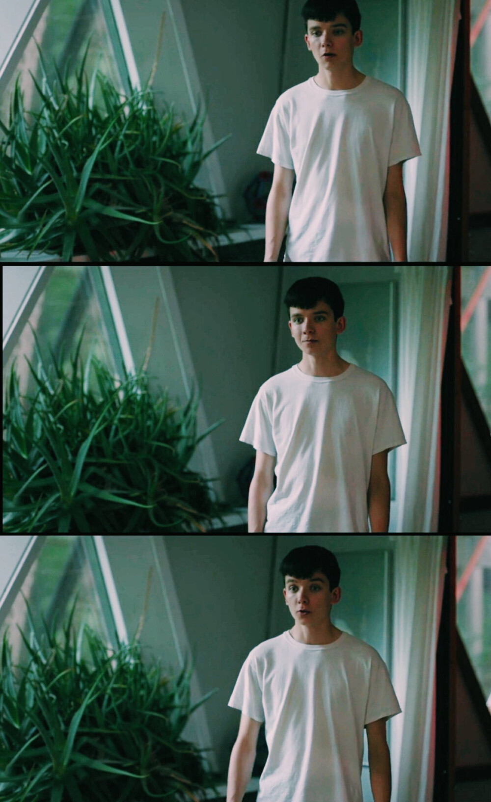 Asa·Butterfield 欧美