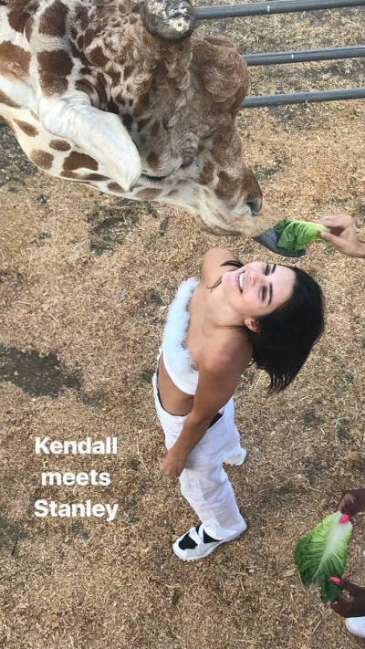 kendall