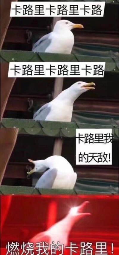 卡路卡路卡路里！燃烧我的卡路里！ ​