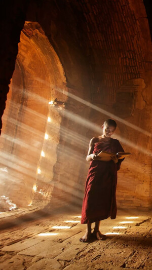 风景如画&城市烟火