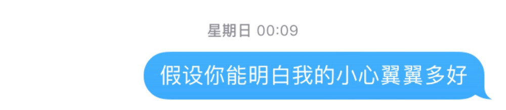 你说过的话