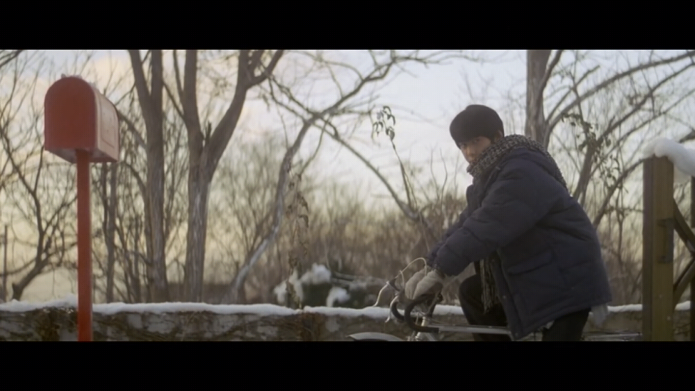 重温《情书》
想去小樽看雪 想和喜欢的人一起去
触摸情书 见见梦里的藤井树