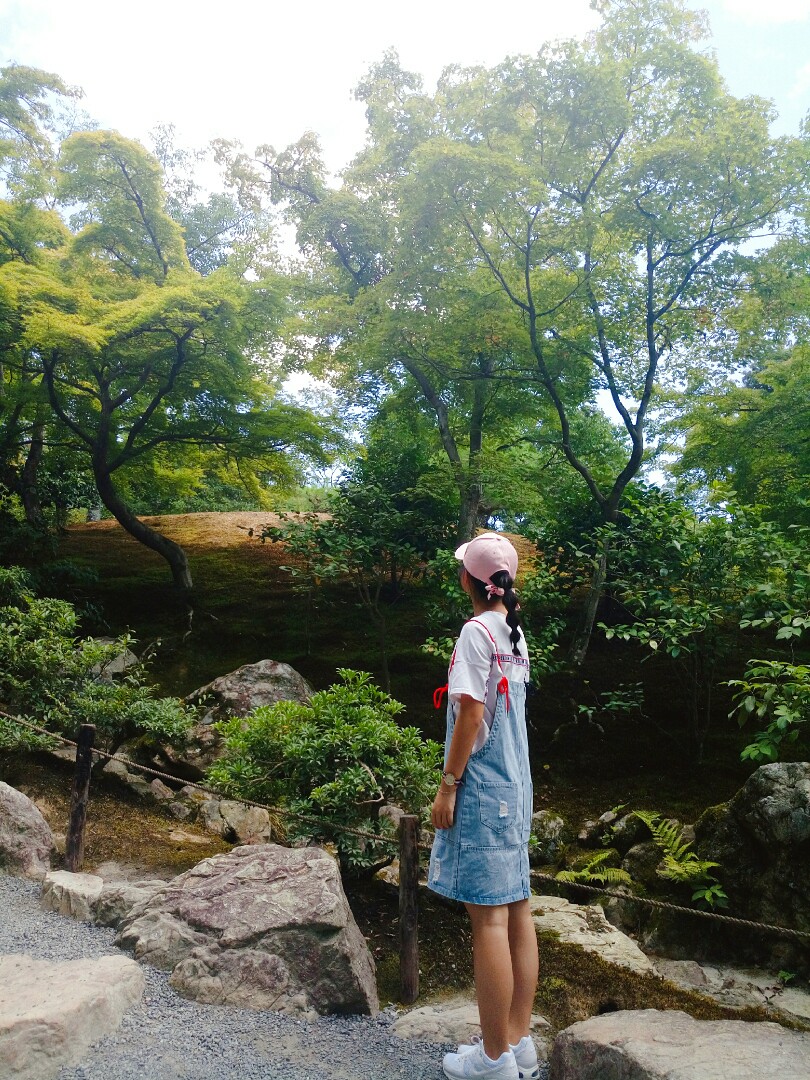 日本 公園 街景 天空 全景