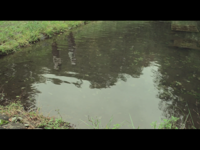 little forest。小森林