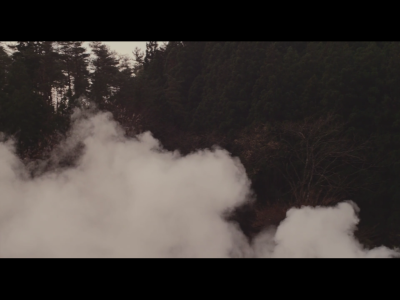 little forest。小森林