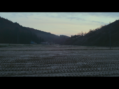 little forest。小森林