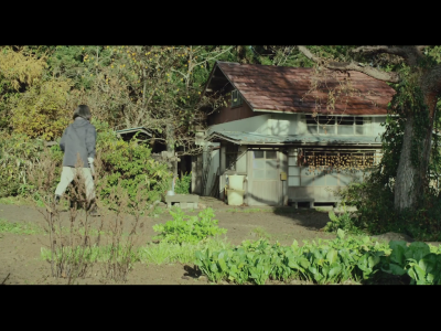 little forest。小森林