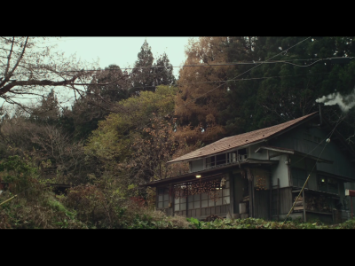 little forest。小森林