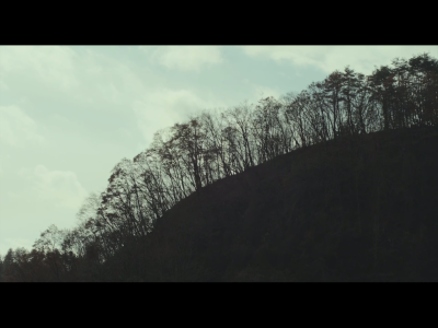 little forest。小森林