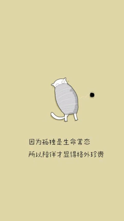 猫咪 文字壁纸