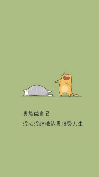 猫咪 文字壁纸
