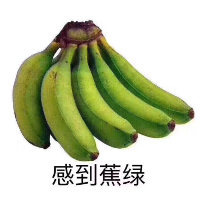 头像 背景图