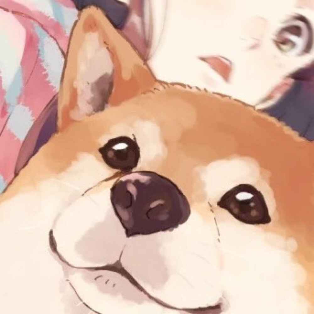 逗比