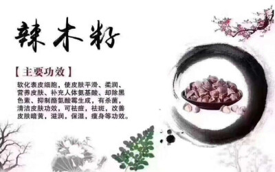 原来辣木籽就是这个啊，万能种子+食材啊