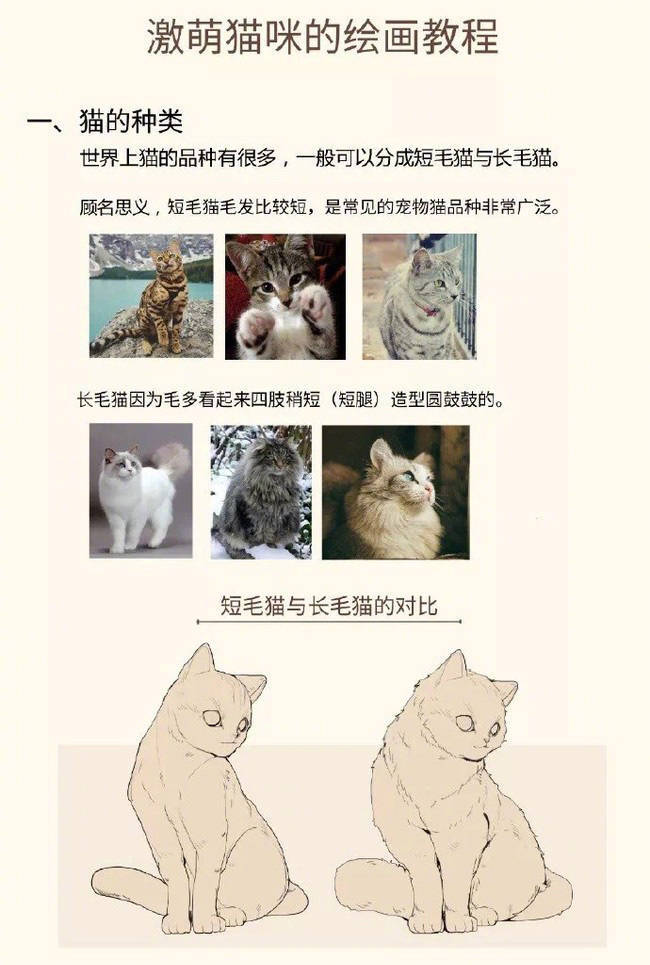 如何画主子的正确打开方式？画猫的教程，喜欢可以参考，转需~ ​​​