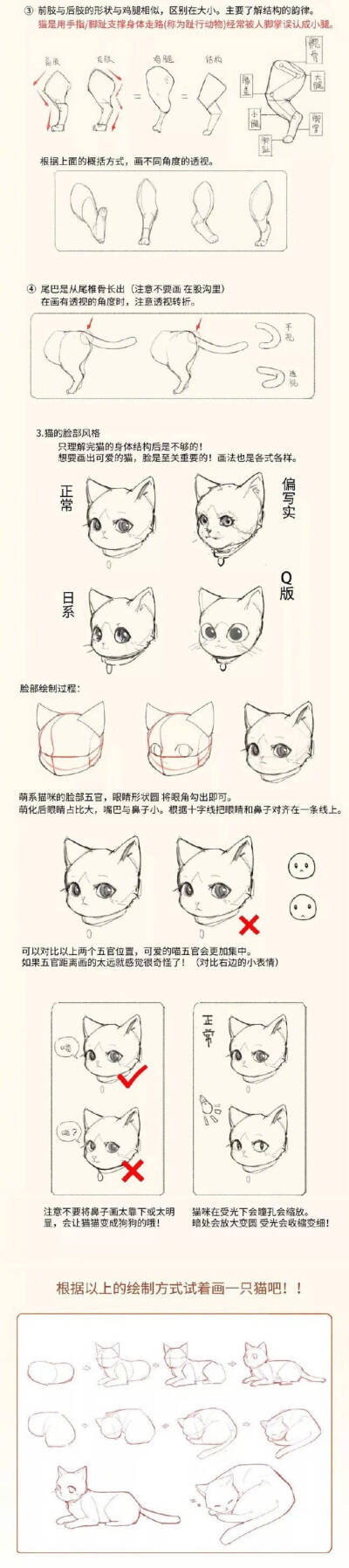 如何画主子的正确打开方式？画猫的教程，喜欢可以参考，转需~ ​​​