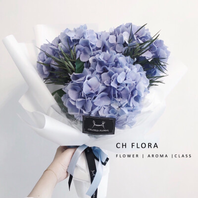 CHFlora / 鲜花花束
绣球 | 清香玉