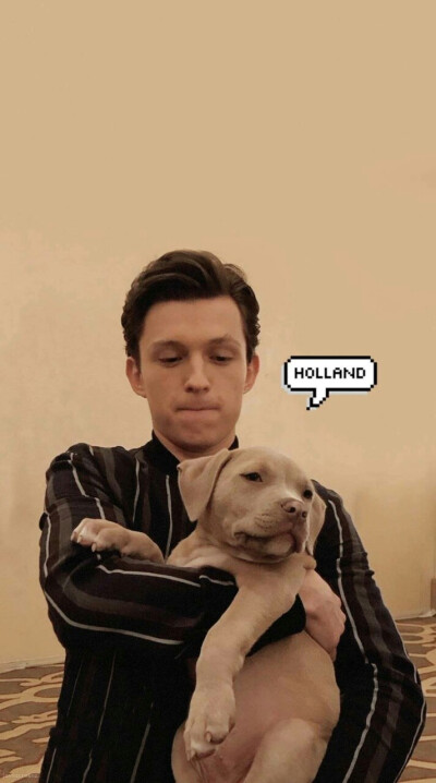 荷兰弟 Tom Holland 小蜘蛛