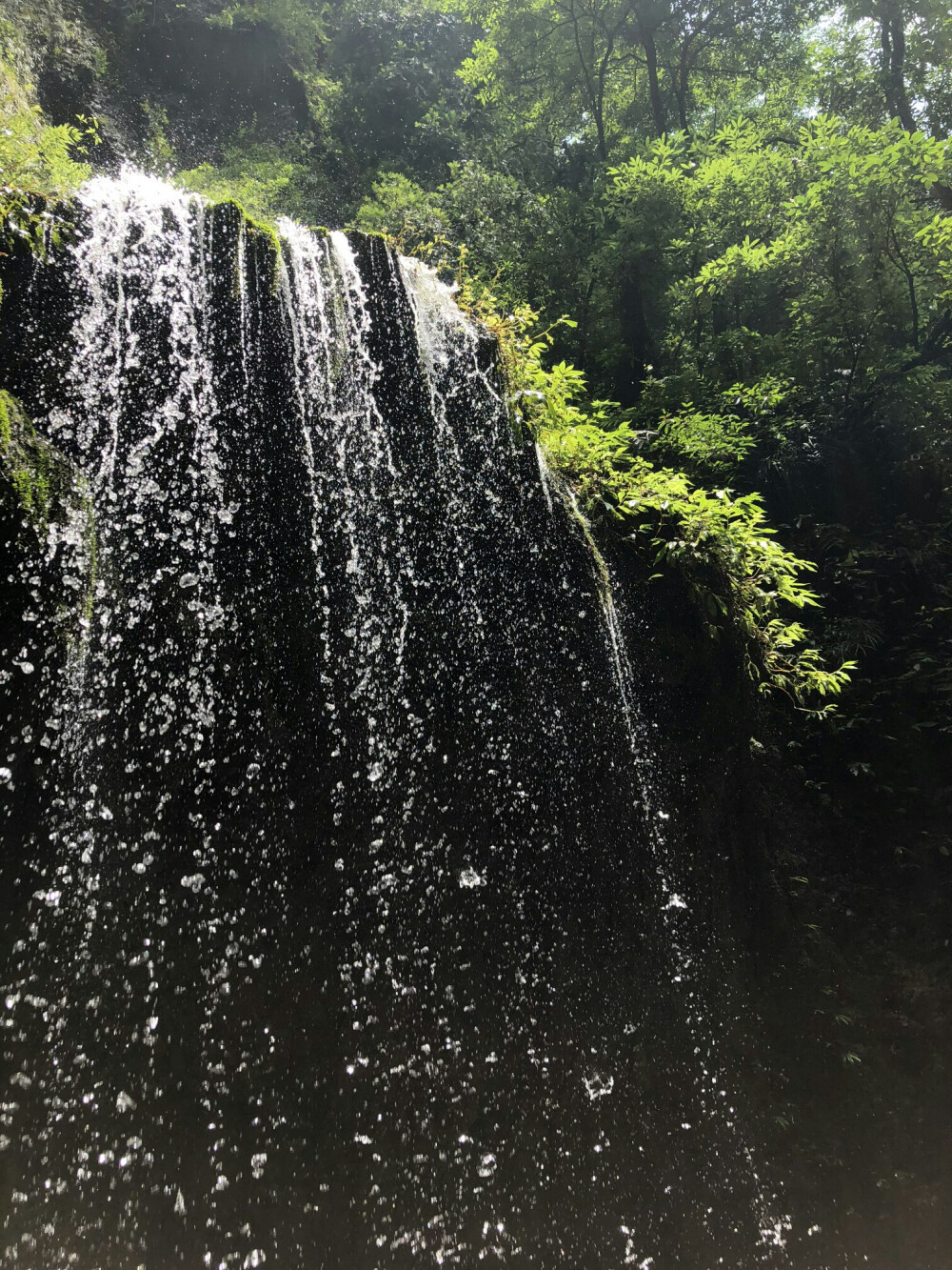 青城山